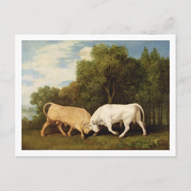 Carte Postale George Stubbs | Bulls Fighting, 1786 (huile sur pa (Devant)