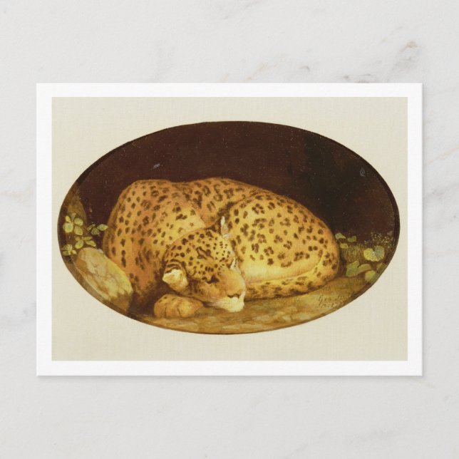 Carte Postale George Stubbs | Léopard dormant, 1777 (émail sur (Devant)