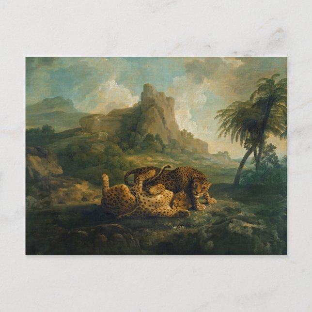 Carte Postale George Stubbs | Leopards at Play, c.1763-8 (Devant)