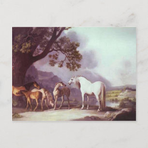 Carte Postale George Stubbs - Mares et poulains dans un paysage