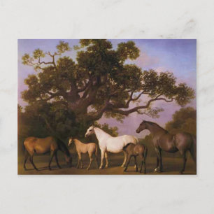 Carte Postale George Stubbs - Mares et poulains sous un chêne