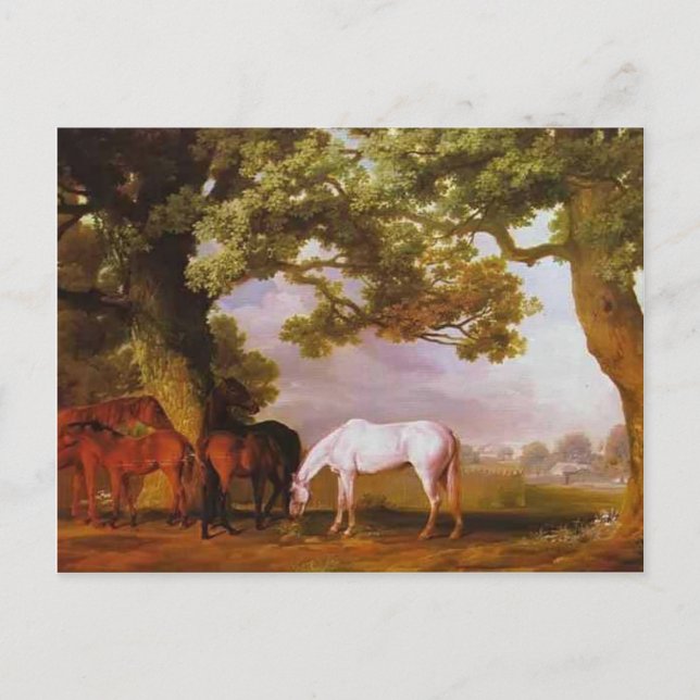 Carte Postale George Stubbs - Mares & Foals dans un paysage bois (Devant)