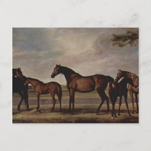 Carte Postale George Stubbs-Mares, poulains avant une tempête im