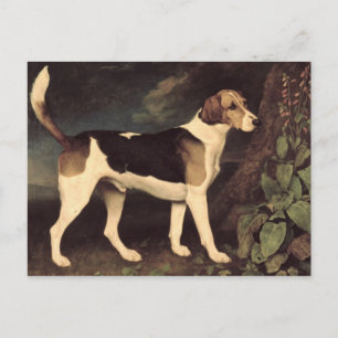 Carte Postale George Stubbs Ringwood, un Brocklesby Foxhound,
