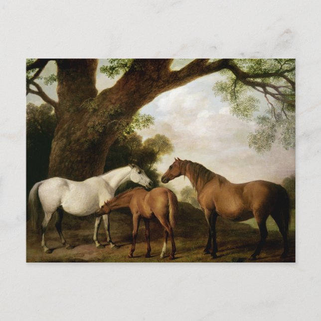 Carte Postale George Stubbs | Two Shafto Mares and a Foal, 1774 (Devant)