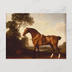 Carte Postale George Stubbs - Un chasseur de la baie selle
