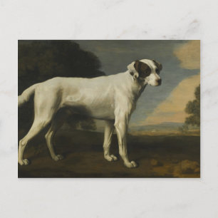Carte Postale George Stubbs - Viscount Chien blanc de Gormanston