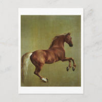 George Stubbs | Whistlejacket, 1762