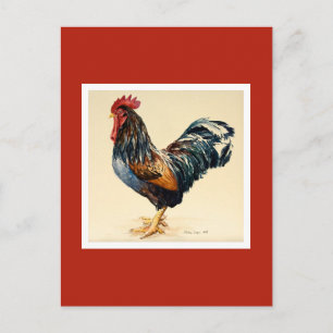 Carte Postale George's Cockerel 2007