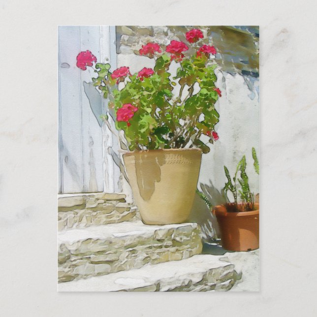 Carte Postale Géranium de couleur rouge (Devant)