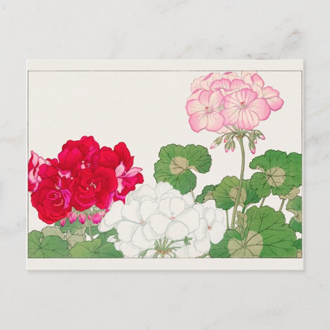 Carte Postale Géranium de Tanigami Konan (Devant)