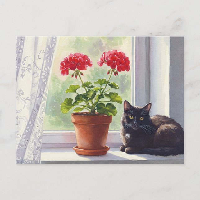 Carte postale Géranium rouge et chat noir (Devant)