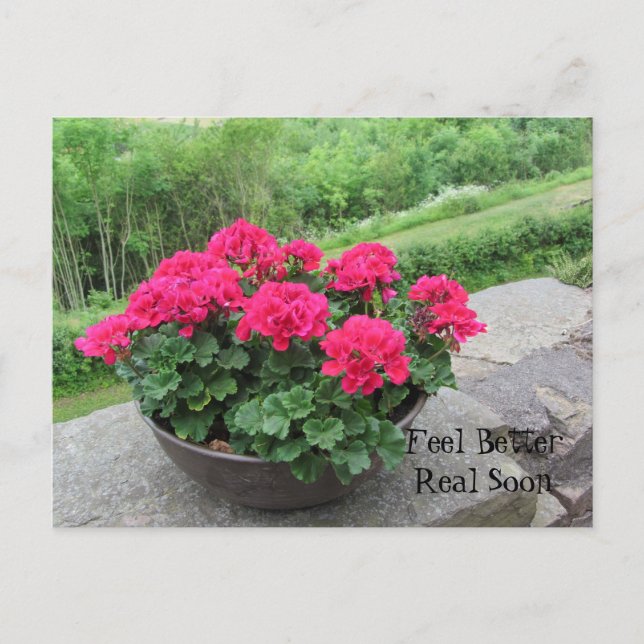 Carte Postale Géranium - Sentez-vous mieux bientôt (Devant)