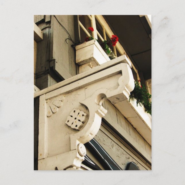 Carte Postale Geraniums (Devant)