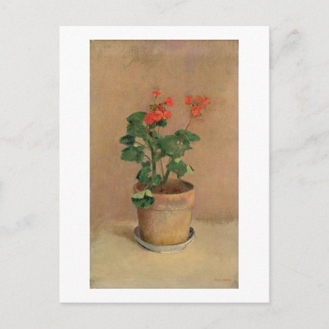 Carte Postale Geraniums dans un pot, c.1905 (huile sur toile) (Devant)