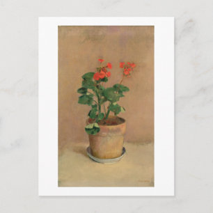 Carte Postale Geraniums dans un pot, c.1905 (huile sur toile)