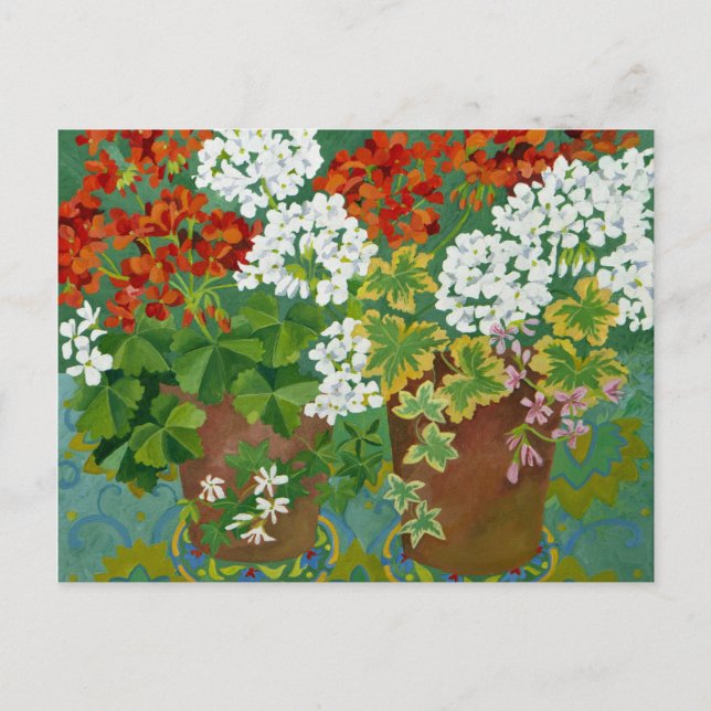 Carte Postale Geraniums rouge et blanc en pots 2013 (Devant)