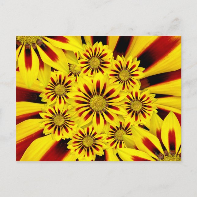 Carte Postale Gerbera Daisy, à rayures jaune et rouge (Devant)
