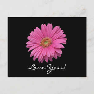 Carte Postale Gerbera Daisy Love You Postcard