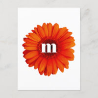 Gerbera Daisy Monogramme initial