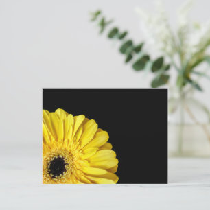 Carte Postale Gerbera Flower