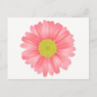 Gerbera marguerite florale rose et jaune fleur