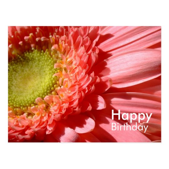 Carte Postale Gerbera Rose Joyeux Anniversaire Zazzle Fr