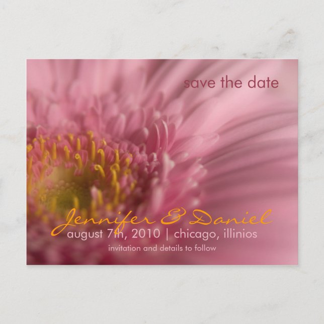 Carte postale Gerbera rose • Save the Date (Devant)