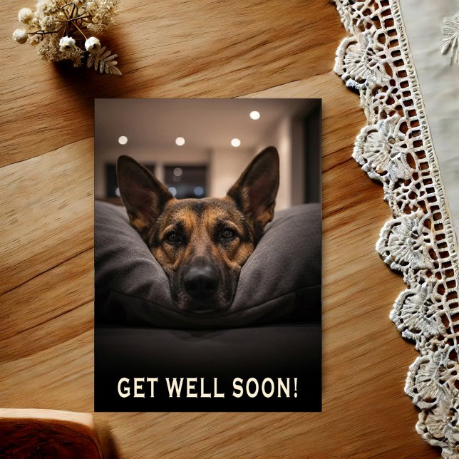 Carte Postale German Shepherd Get Well Postcard (Créateur téléchargé)
