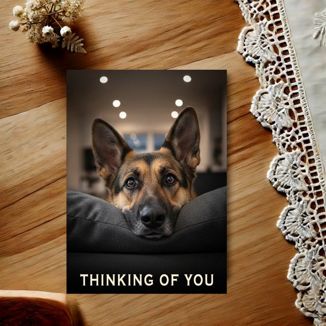 Carte Postale German Shepherd Thinking Of You Postcard (Créateur téléchargé)
