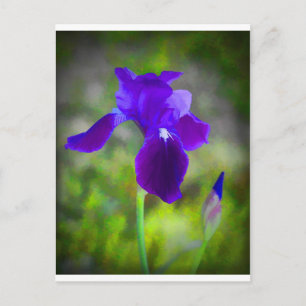 Carte Postale Germanique Violet Iris Blossom Numériquement Peint