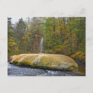 Carte Postale Geyser Island Spouter, Saratoga Springs, New York