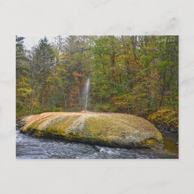Carte Postale Geyser Island Spouter, Saratoga Springs, New York (Devant)