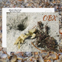 Ghost Crab OBX NC Photographie