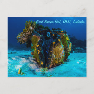 Carte Postale Giant Clam on the Great Barrier Reef
