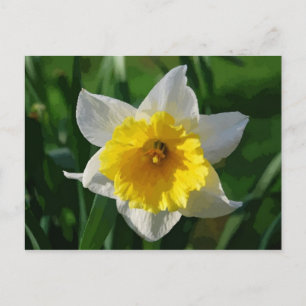 Carte postale Giant Daffodil