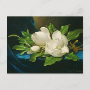 Carte Postale Giant Magnolias on a Blue Velvet Cloth, c.1890 (oi