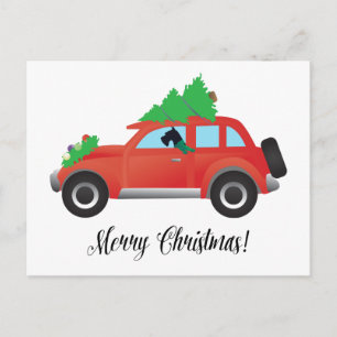 Carte Postale Giant Schnauzer Driving a Car - tree on top