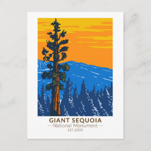 Carte Postale Giant Sequoia National Monument California Vintage