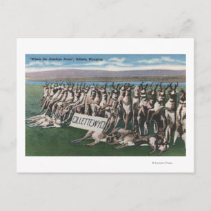 Carte Postale Gillette, WY - Où l'Antelope Roam