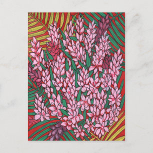 Carte Postale Gingembre de cône rose Alpinia Fleurs tropicales F