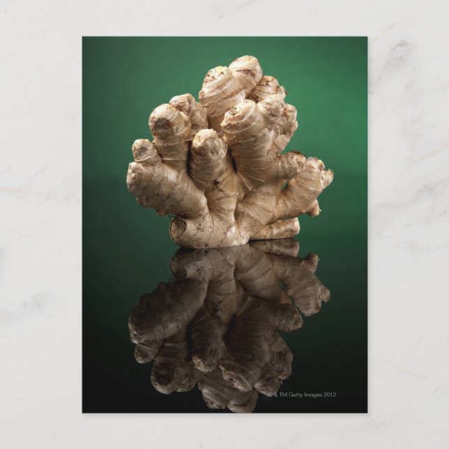 Carte Postale Ginger (Devant)