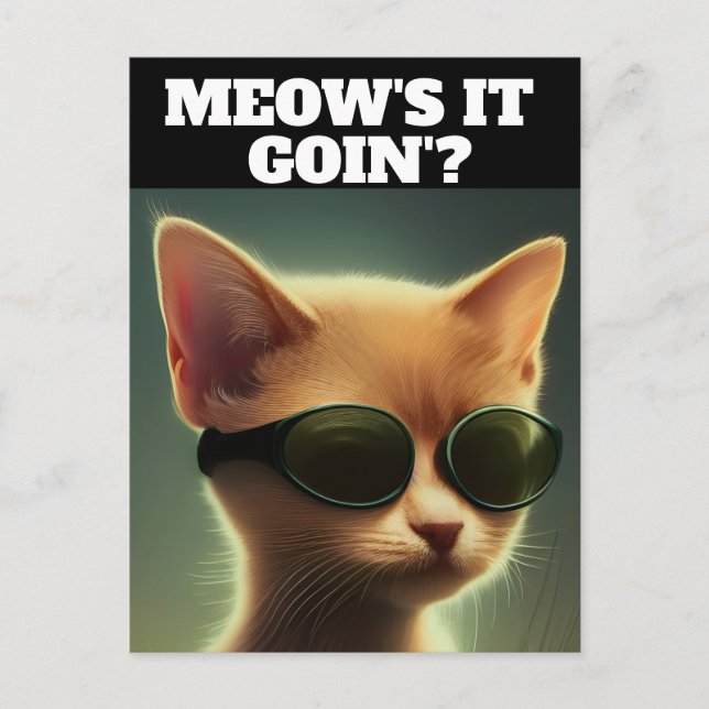 Carte Postale GINGER KITTEN CAT ART LUNETTES DE SOLEIL HELLO Car (Devant)