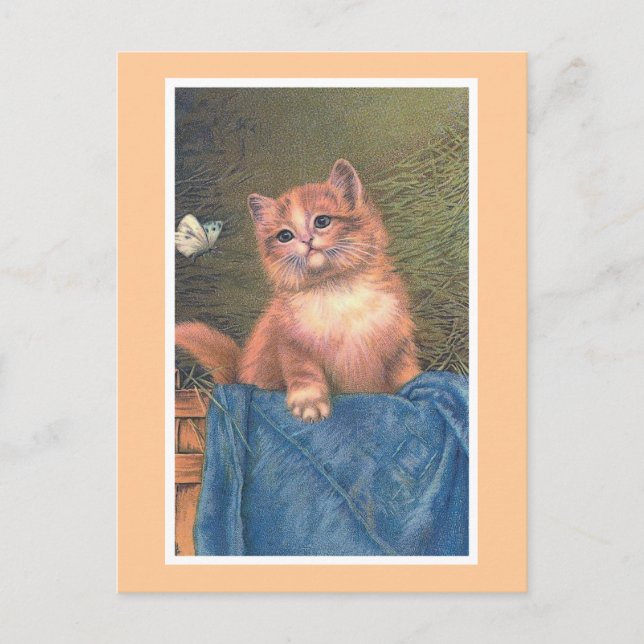 Carte Postale "Ginger Kitten et Butterfly" Vintage (Devant)