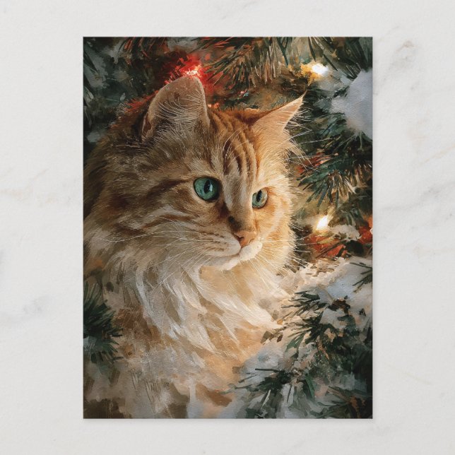 Carte Postale Ginger Maine Coon Noël (Devant)