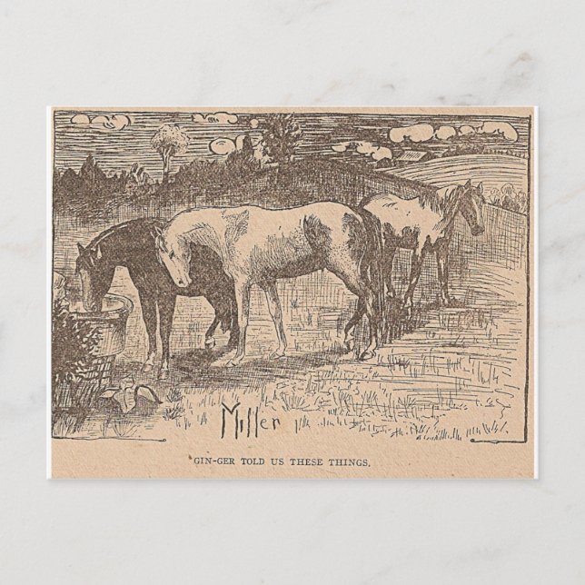 Carte Postale Ginger Nous A Dit Ces Choses (Devant)