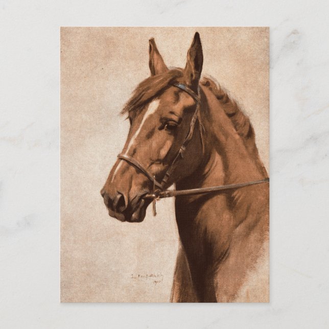 Carte Postale Ginger Sorrel Horse Black Beauty livre Kemp-Welch (Devant)