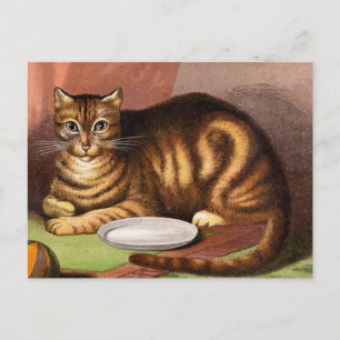Carte Postale Ginger Tabby Chat Illustration Vintage