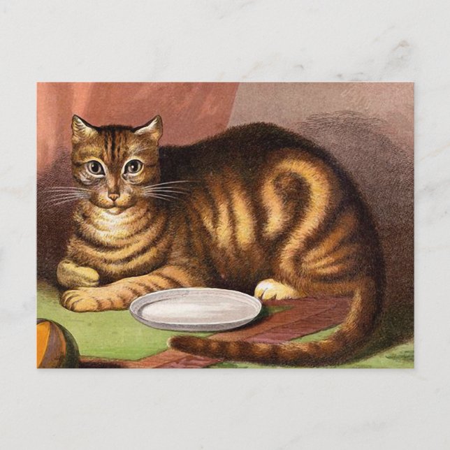 Carte Postale Ginger Tabby Chat Illustration Vintage (Devant)
