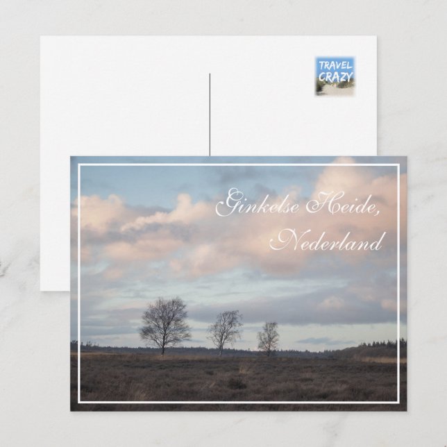 Carte Postale Ginkel Heath, Ede, Pays-Bas Paysage (Devant / Derrière)